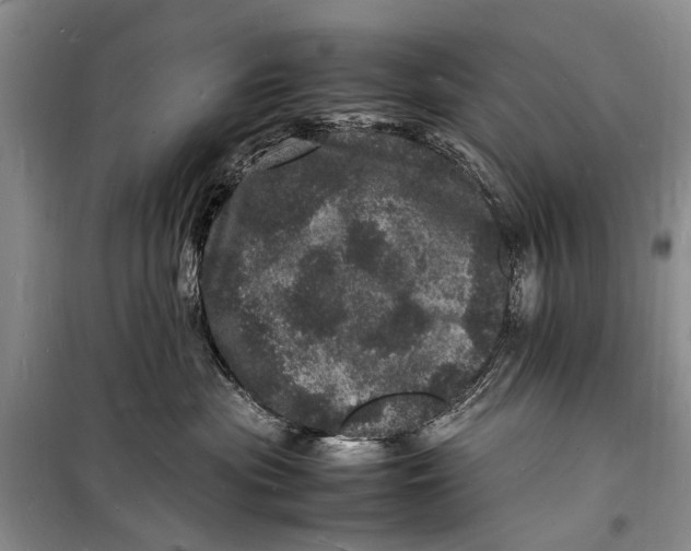 X0000098180477200805151145