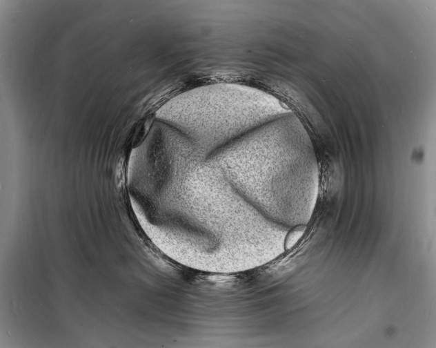 X0000098180478200805151145