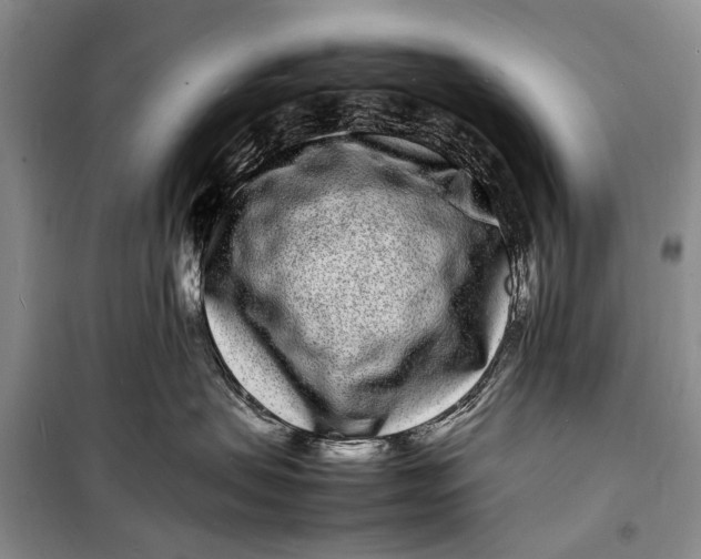 X0000098180479200805151145