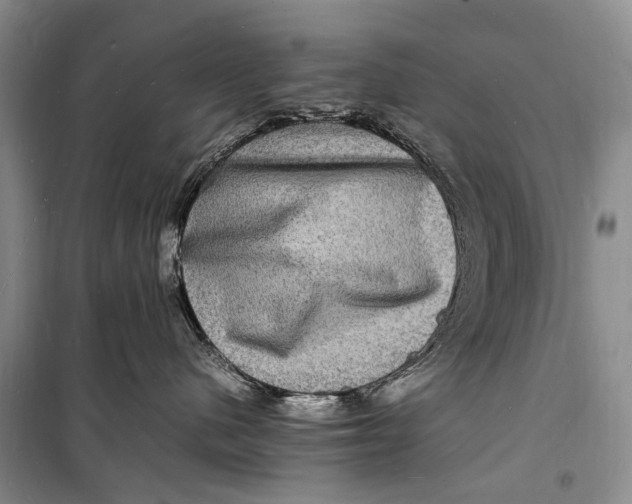 X0000098180480200805151145