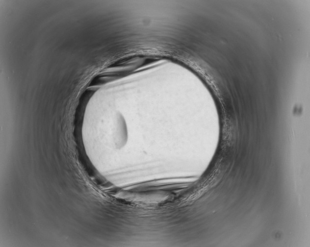 X0000098180481200805151144