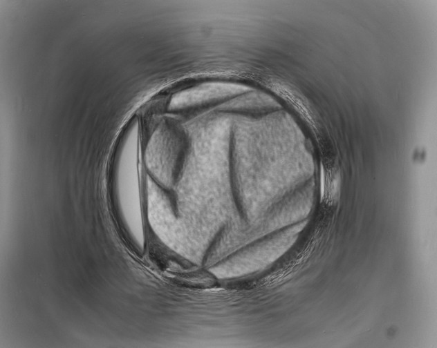 X0000098180483200805151144