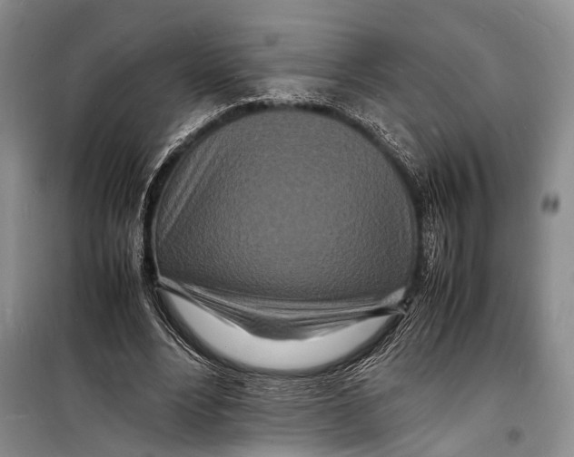 X0000098180488200805151144