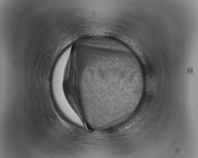 X0000098180489200805151144