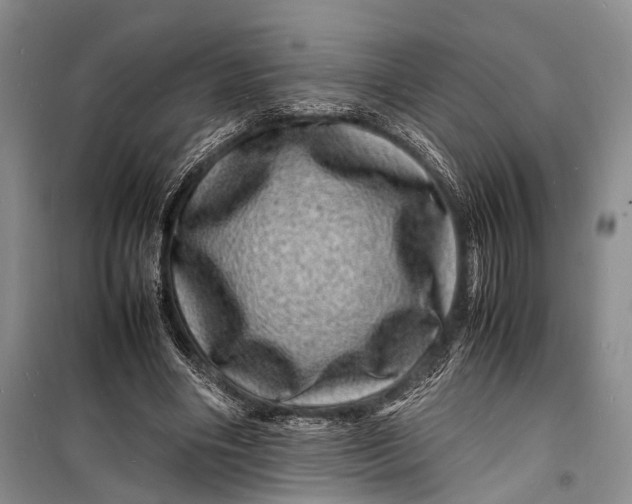 X0000098180490200805151144