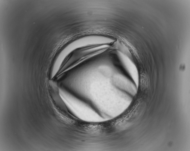 X0000098180493200805151144