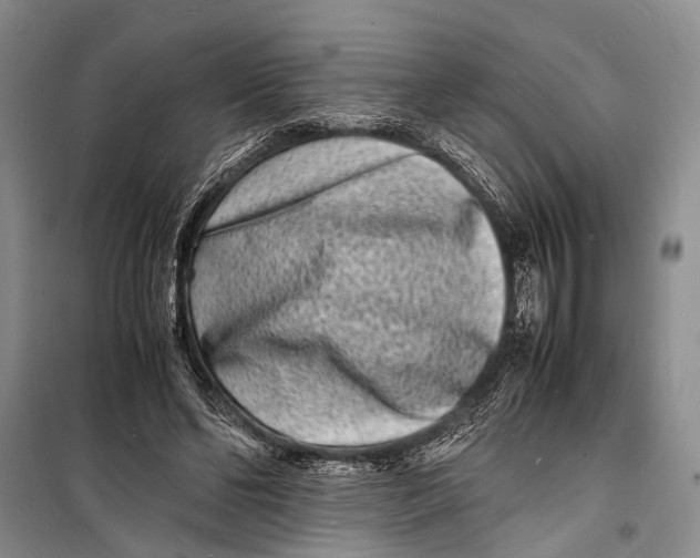 X0000098180494200805151144