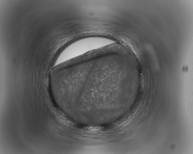 X0000098180495200805151144