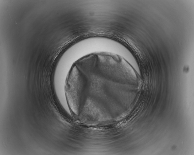 X0000098180500200805151144