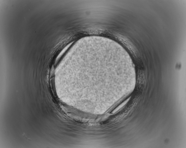 X0000098180501200805151144