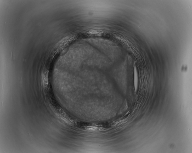 X0000098180504200805151143