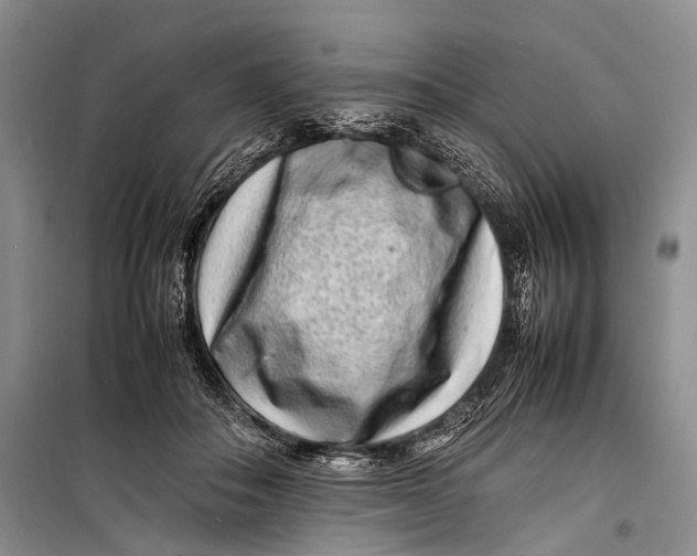 X0000098180506200805151143