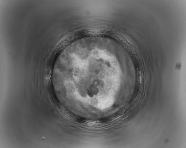 X0000098180507200805151143