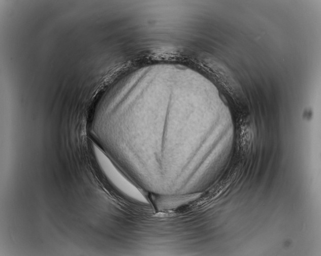 X0000098180508200805151143