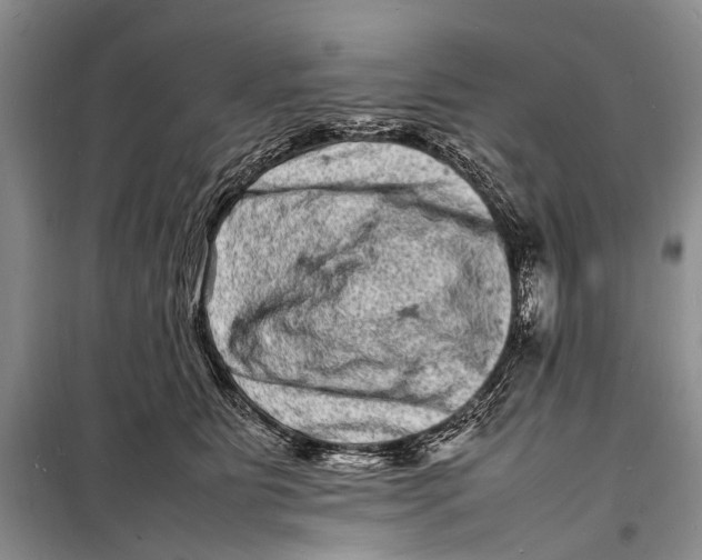 X0000098180515200805151143