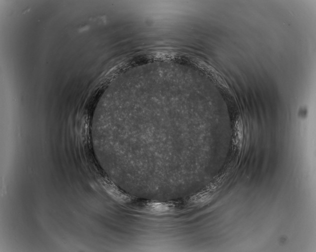 X0000098180522200805151143