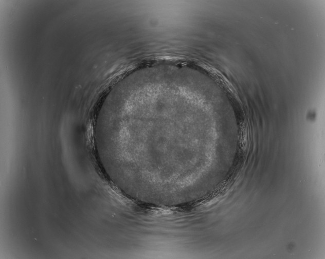 X0000098180523200805151143