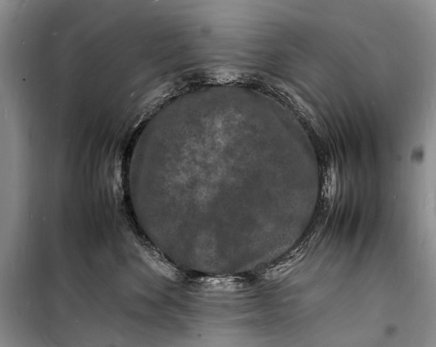 X0000098180524200805151143