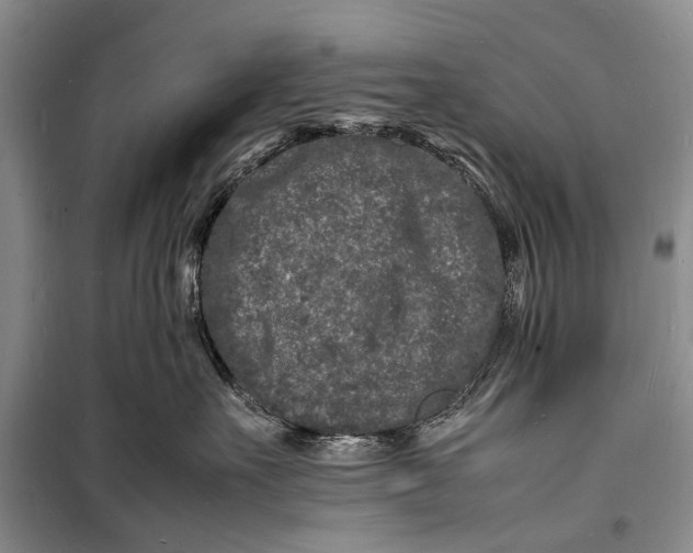 X0000098180527200805151143