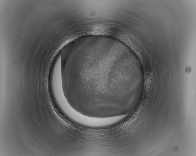 X0000098180530200805151142