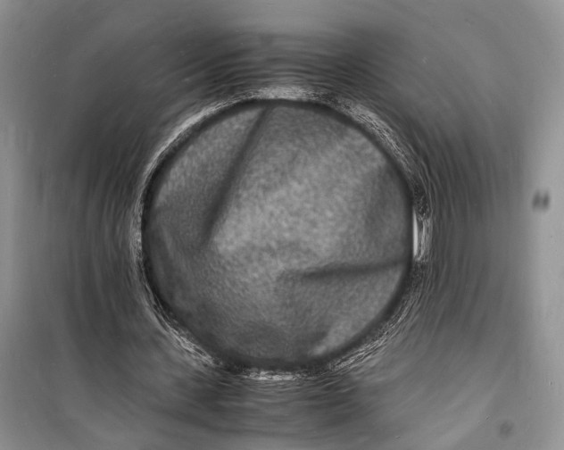 X0000098180531200805151143