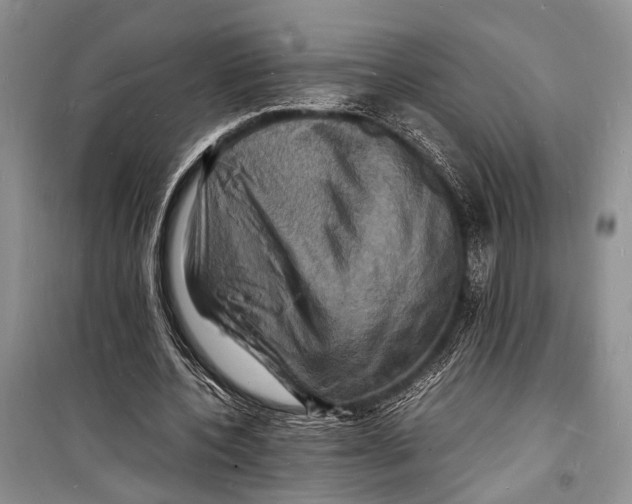 X0000098180532200805151143