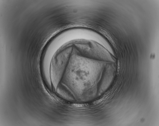 X0000098180534200805151143