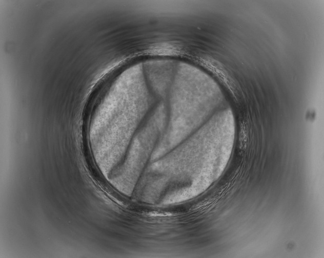 X0000098180535200805151143