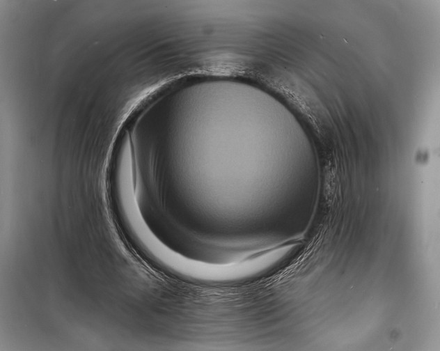 X0000098180536200805151143