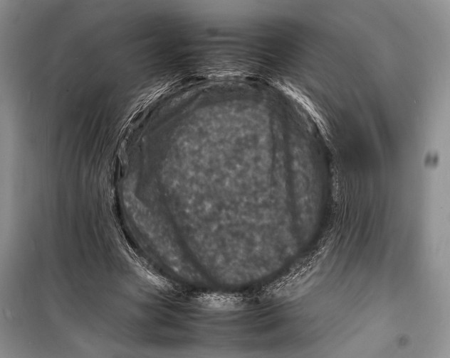 X0000098180537200805151143