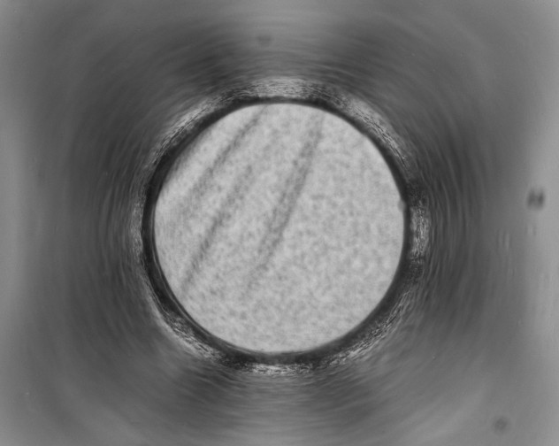 X0000098180538200805151143