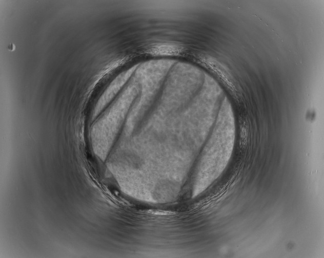 X0000098180539200805151143