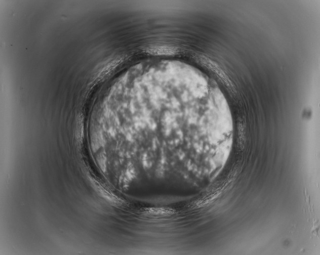 X0000098180541200805151143