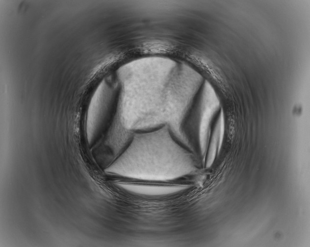 X0000098180543200805151143