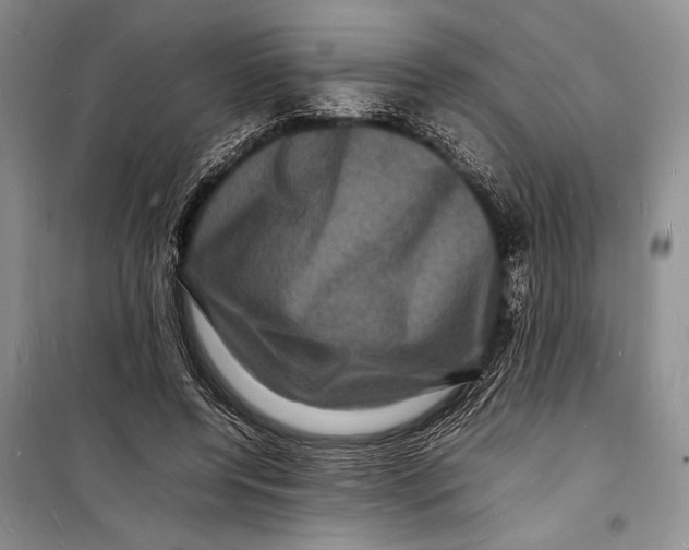 X0000098180544200805151143