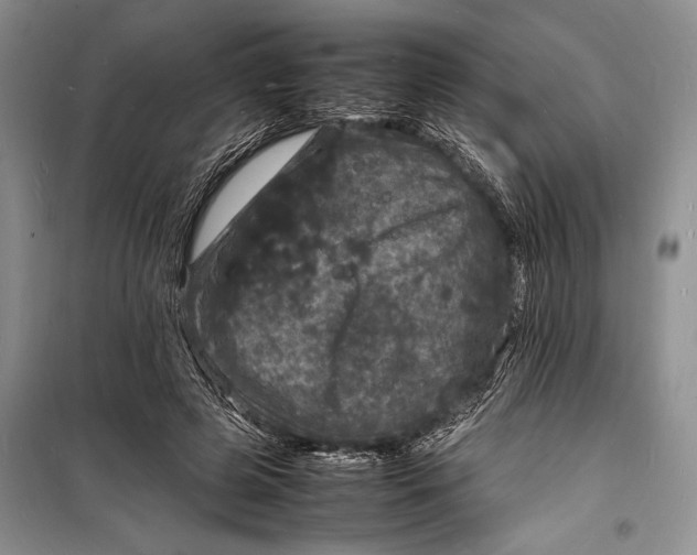 X0000098180545200805151143