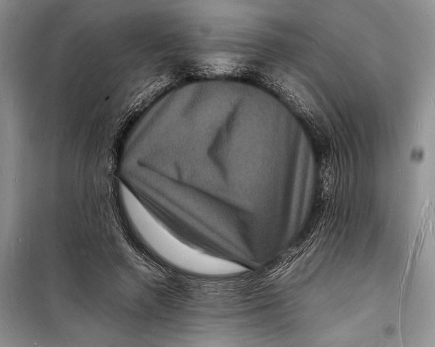 X0000098180546200805151143