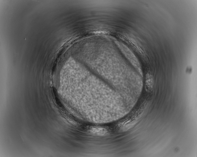 X0000098180547200805151143