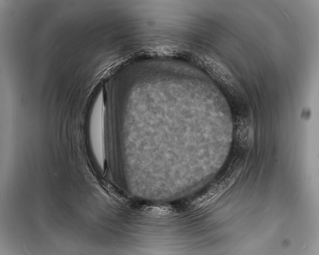 X0000098180548200805151143