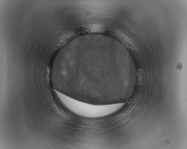 X0000098180550200805151143