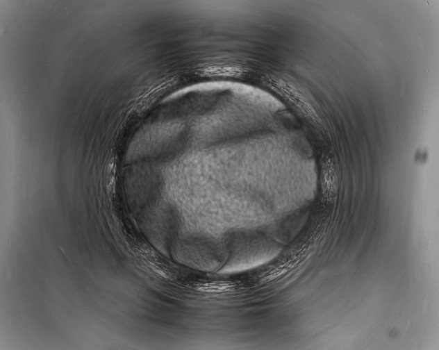 X0000098180551200805151143