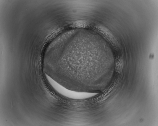 X0000098180552200805151143