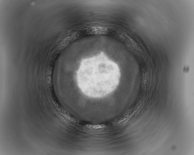 X0000098180553200805151143