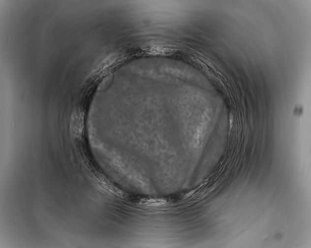 X0000098180554200805151143