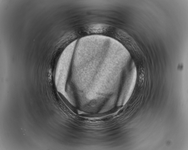 X0000098180555200805151143