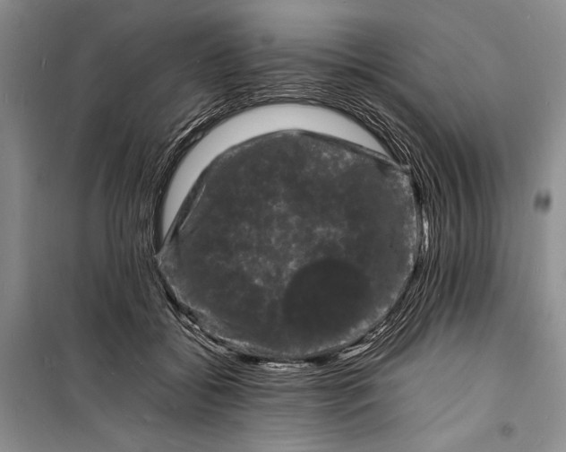 X0000098180556200805151143