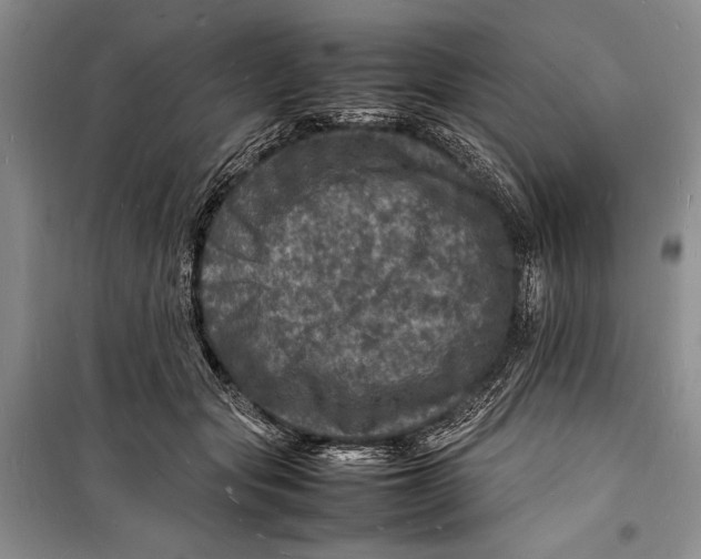 X0000098180557200805151143