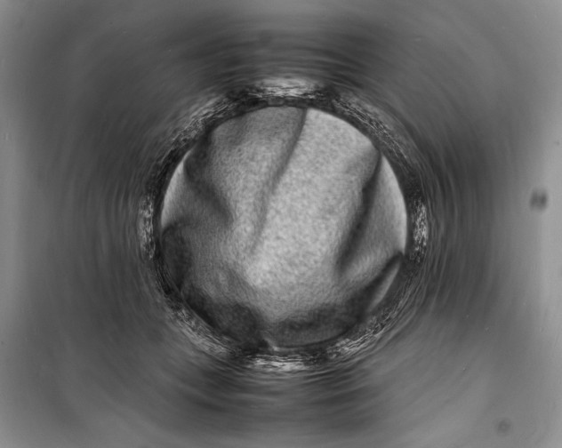 X0000098180559200805151143