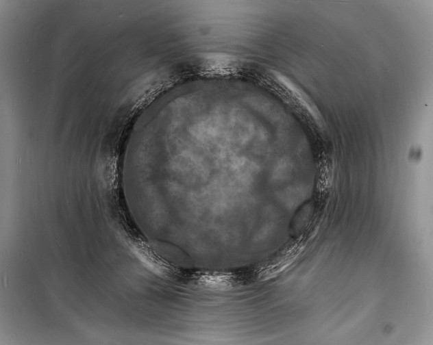 X0000098180560200805151143