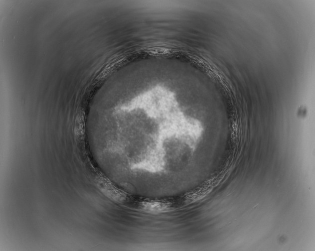 X0000098180561200805151143